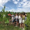 Школьные и семейные экскурсии - Григорьевские сады