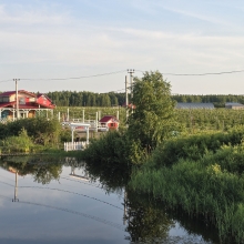 20250625_200139.jpg